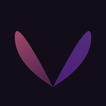 VAELO app icon